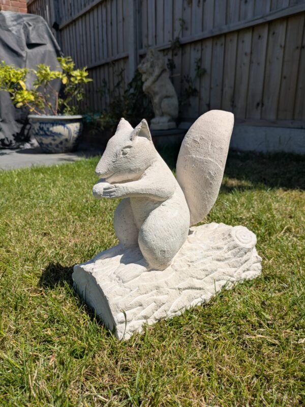 Squirrel