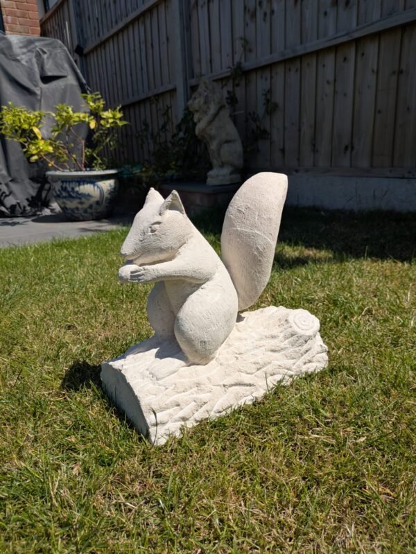 Squirrel